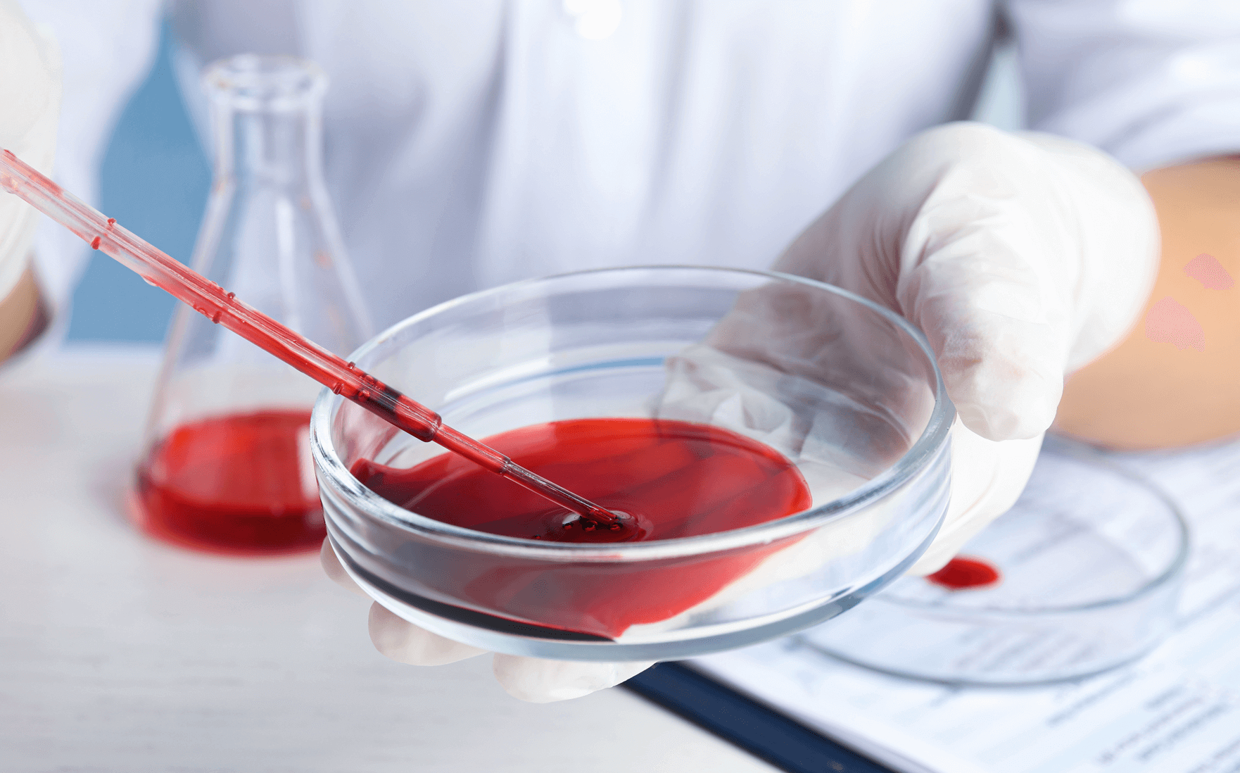 The quickest ride in town scores high marks for its sporty, agile frame.